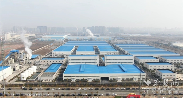 園區(qū)企業(yè)。記者 魯偉龍 攝.webp.jpg